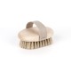Brosse de massage pour brossage à sec - Hêtre