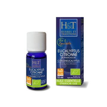 Huile essentielle - Eucalyptus citronné de Madagascar bio